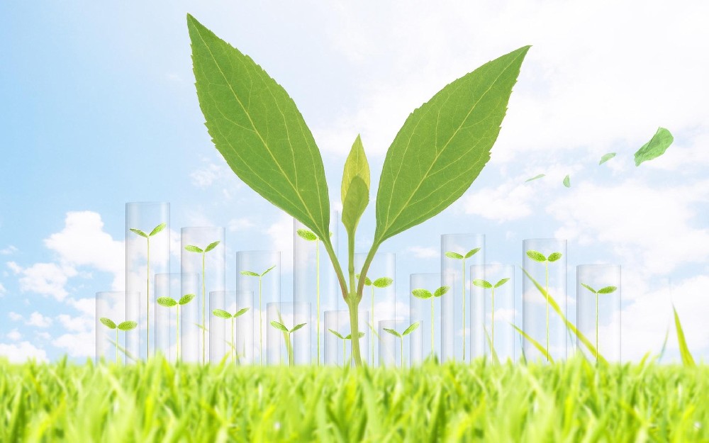 生物質(zhì)發(fā)電廠如何除塵？